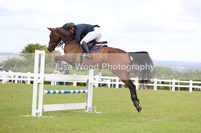 3E7A7148 - Class 12: Senior Foxhunter/1.20 open