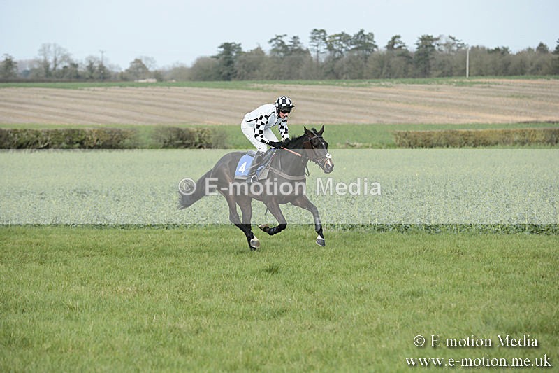 PtP 230319 291 - VWH Hunt Siddington Point-to-Point Racing 23/03/19