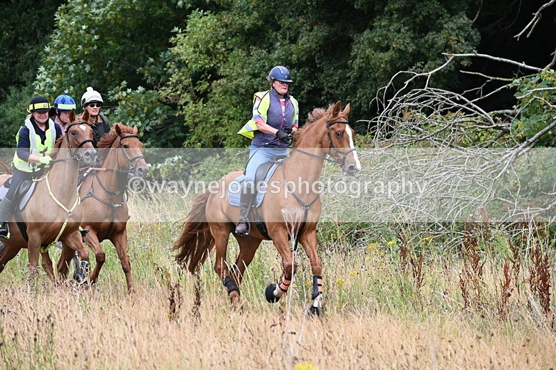 WJ6_2337 - Group 7