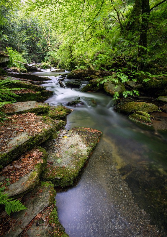 The River Trevillet , North Cornwall