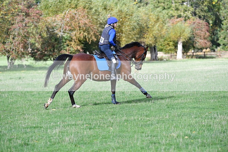 WJ5_7954 - Time 10:31 to 12:01