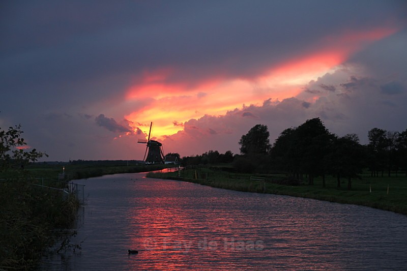  - Home in the Polder