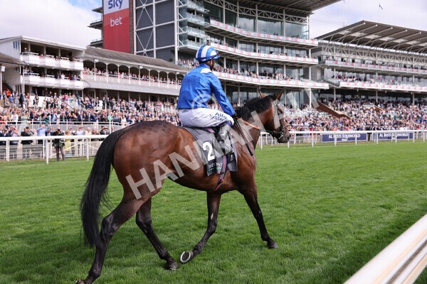 yr17082022r4-96 - Race 4 3.35pm Juddmonte International Stakes (British Champions Series Race)