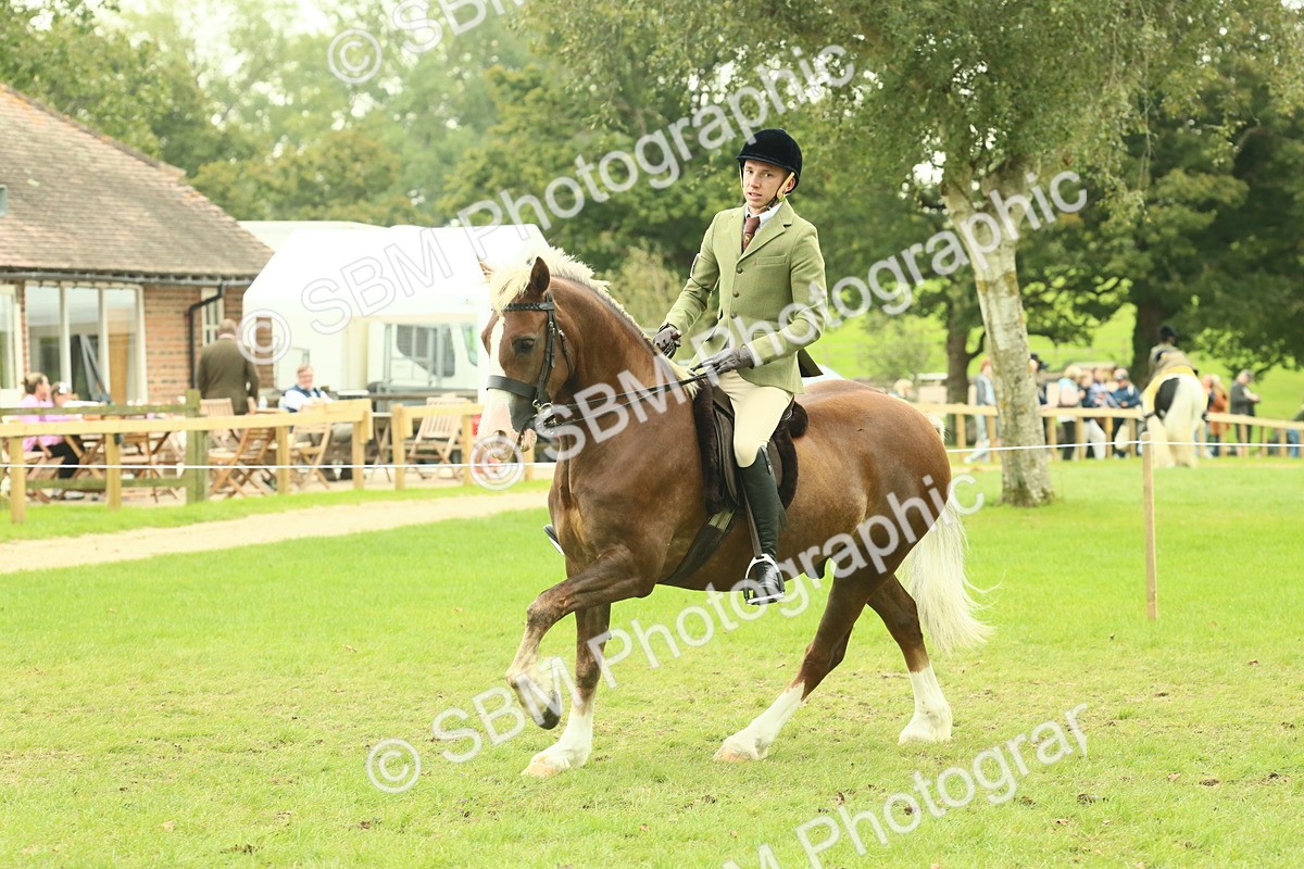 SBM_72102 - S60 - Mountain & Moorland Ridden Large Breeds