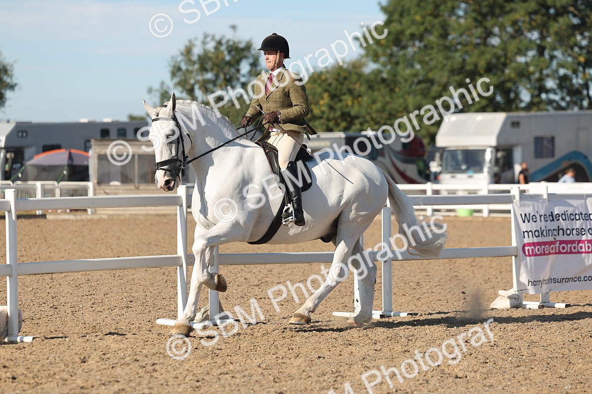 SBM_12191 - Class 303 - Ridden Pure Bred Horse Pony