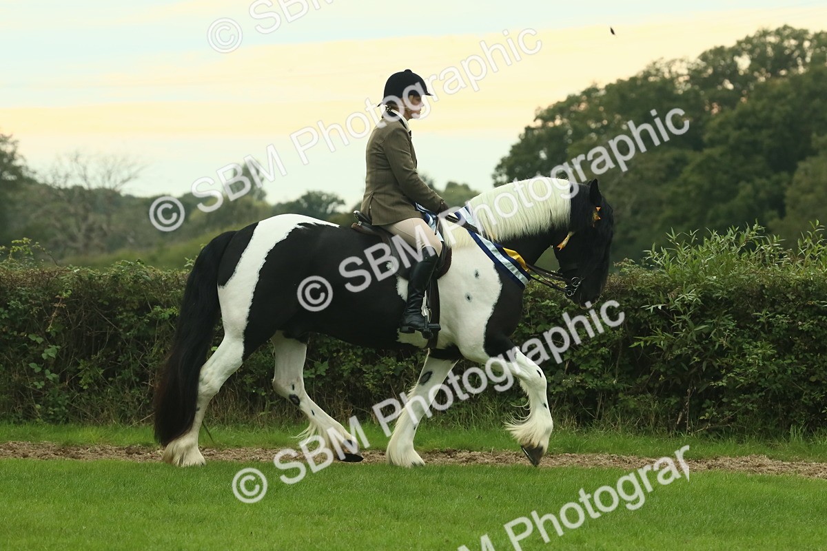 SBM_75145 - Super Supreme Championship