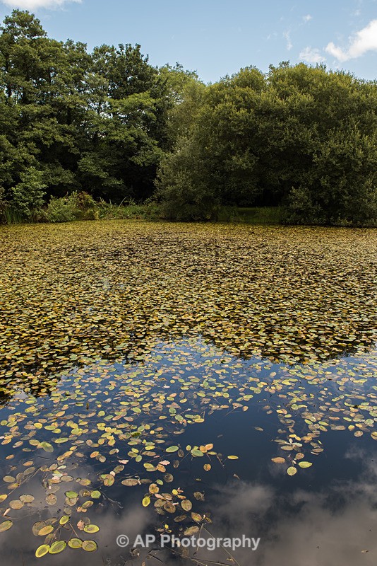 ACP_2560-1 - Lakes