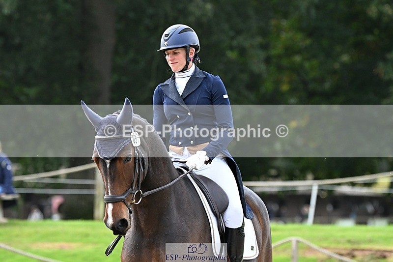 231019-145359-04314 - 057-OVERTON.TILANA'S.GOLD-Claire.Deuten-DR