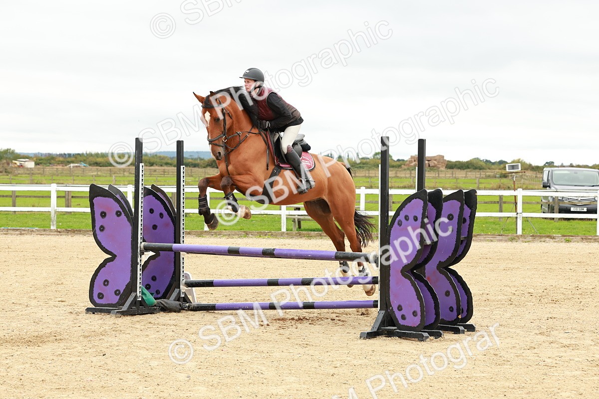 1I0A6744 - Class 2 - Senior British Novice