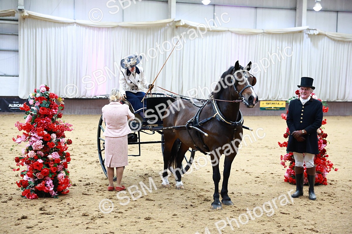 SBM_000222 - Class 3 - Alison Thomas Memorial Lady Whip