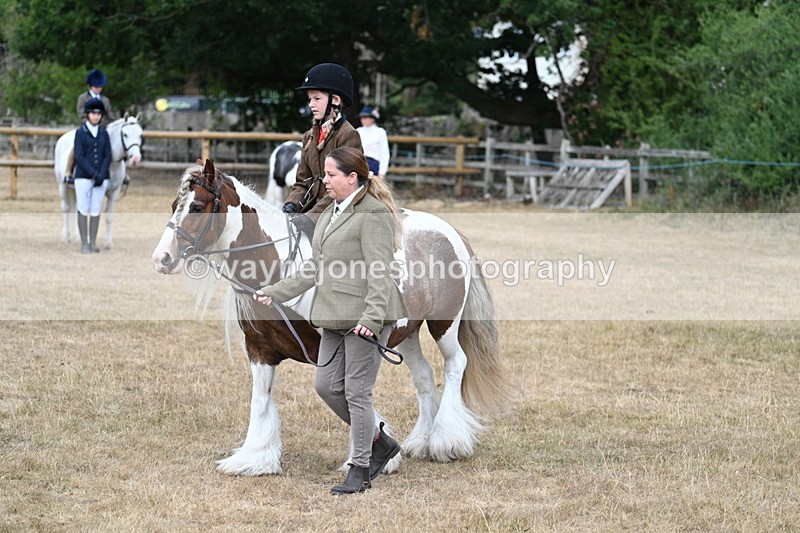 WJ7_6732 - Class 1 Lead Rein Pony