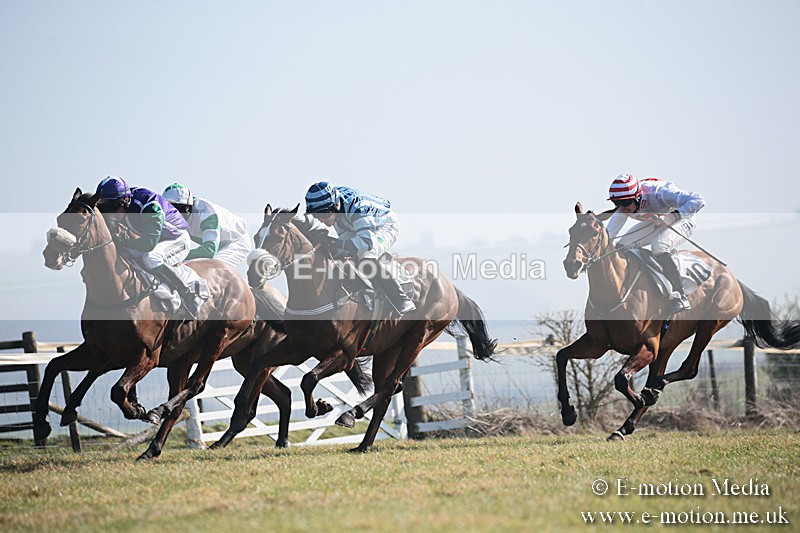 PtP 230219 95 - Vine & Craven Point-To-Point - Barbury 23/02/19