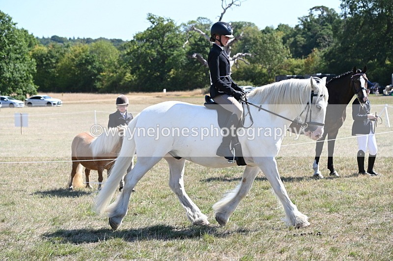 WJ6_8272 - Class 37a Best Loan Pony Ridden