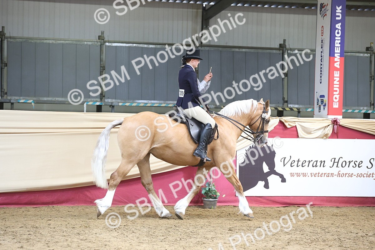 SBM_23700 - class 906 - Supreme Final - Ridden Pre Vet