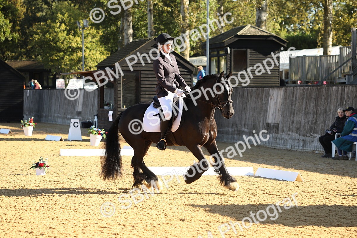 SBM_16430 - D10 - Small Tour Championship - Prelim 2