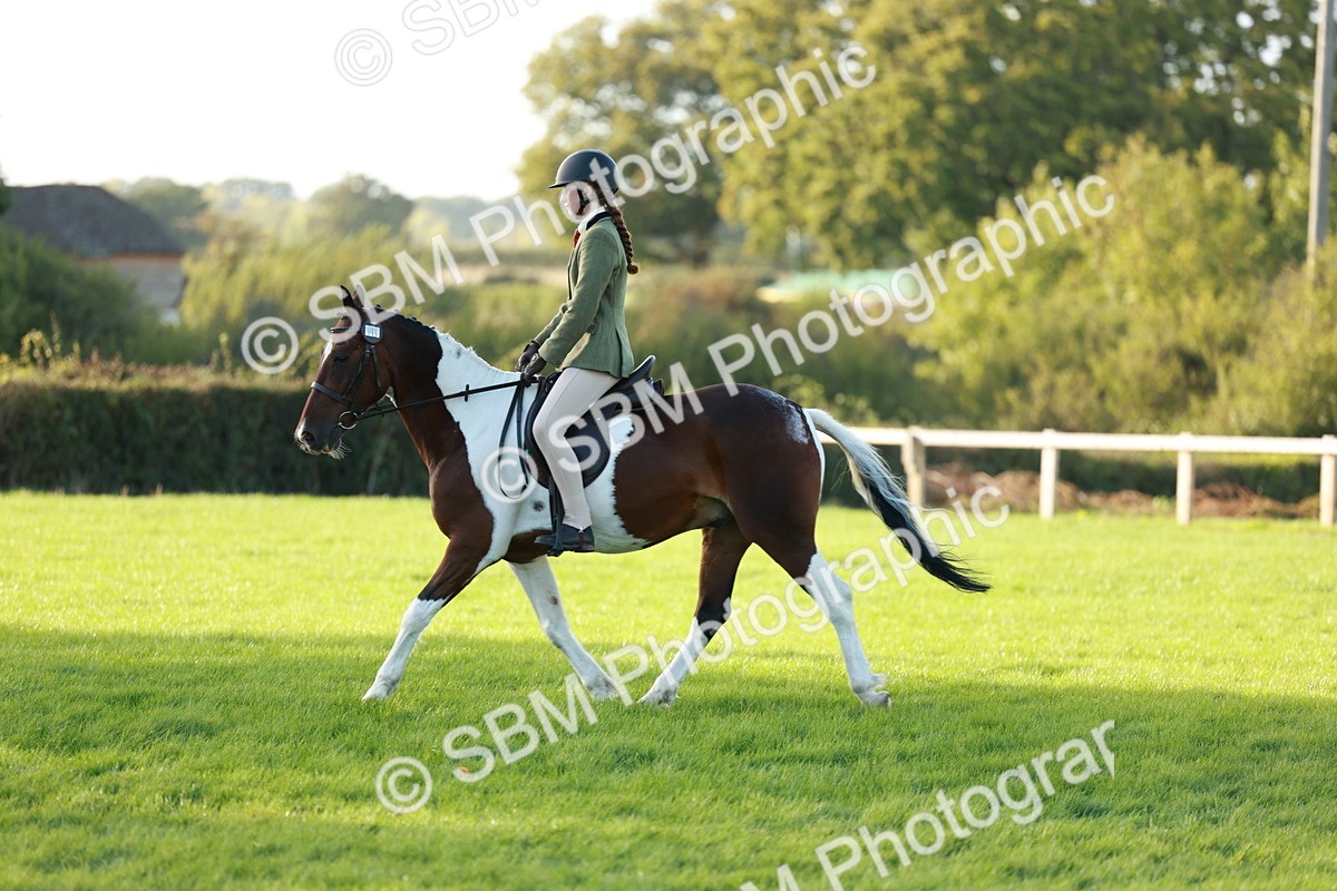 SBM_28786 - S7 - Novice & Newcomer Ridden Pony