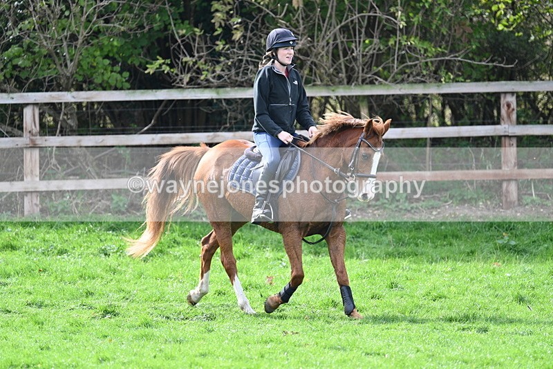 WJ7_0008 - Time 13:13 to 13:55