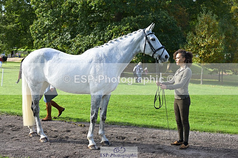 241023-130404-00049 - 003-Lydia.Heywood-COLACENTRIC