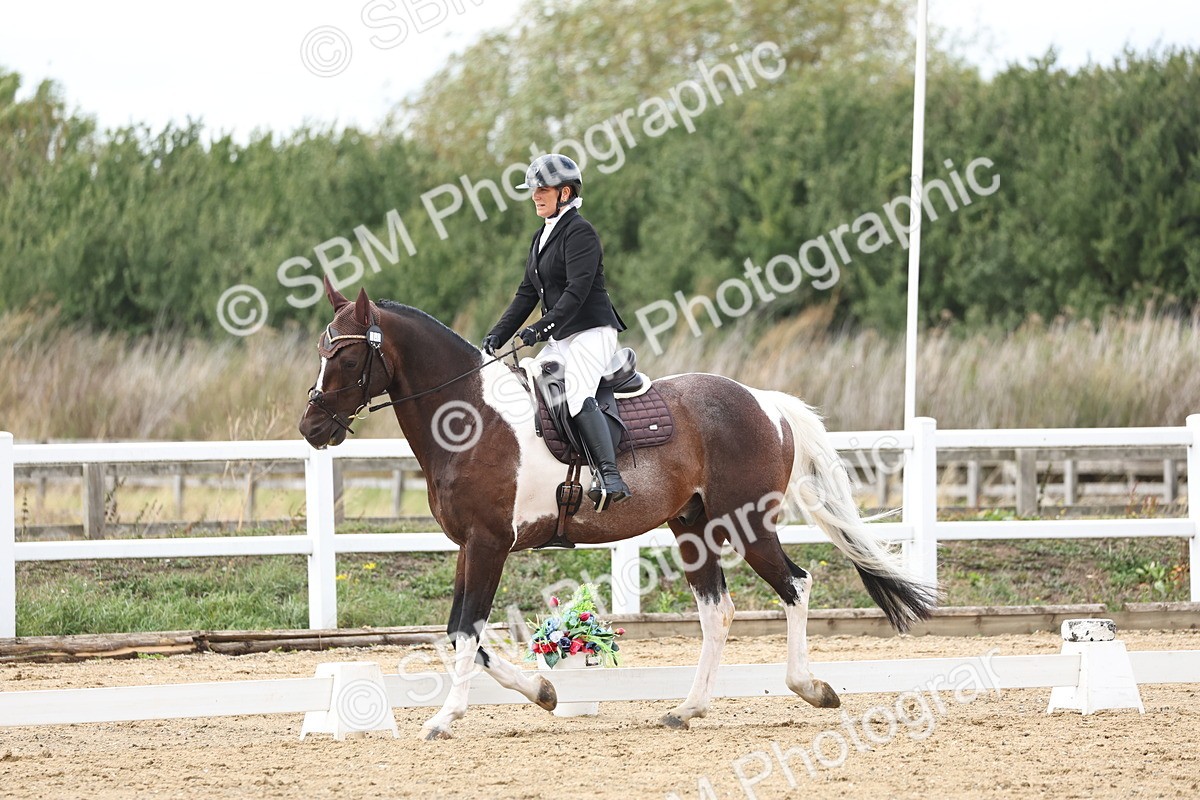 SBM_003608 - Class 8 - Novice 3 Champs