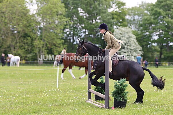 IMG_2470 - Working Hunter