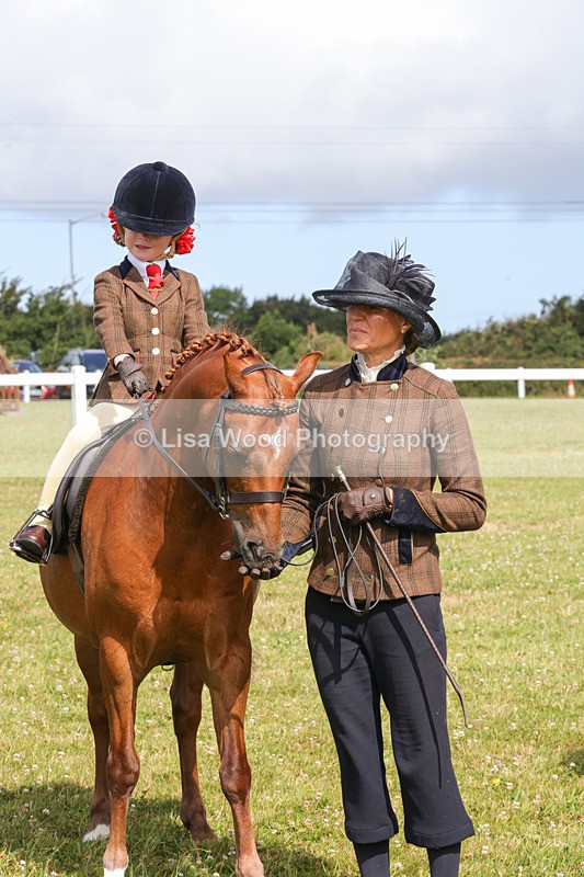 1X9A3667 - Class 29: Lead Rein SP/SHP