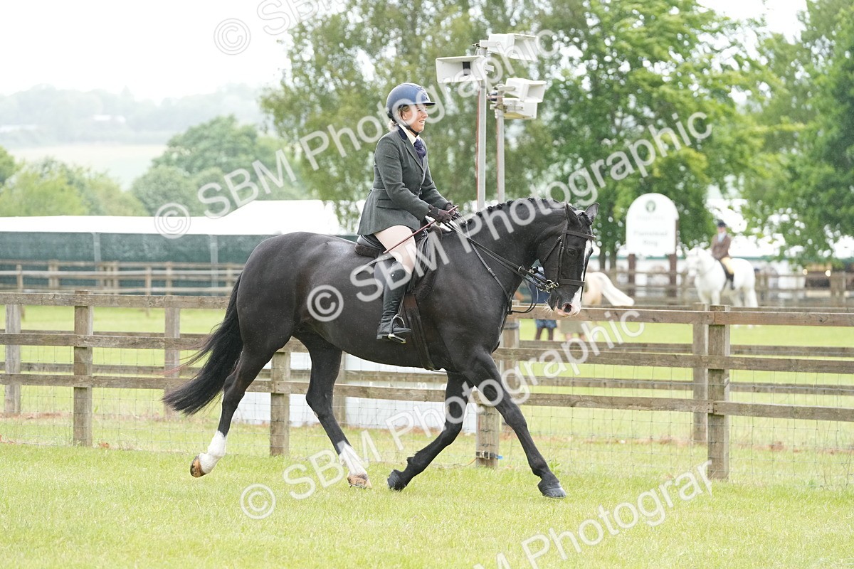 SBM_12652 - Class 97-98 - LIHS BSHA Rising Star Working Show Horse Hunter