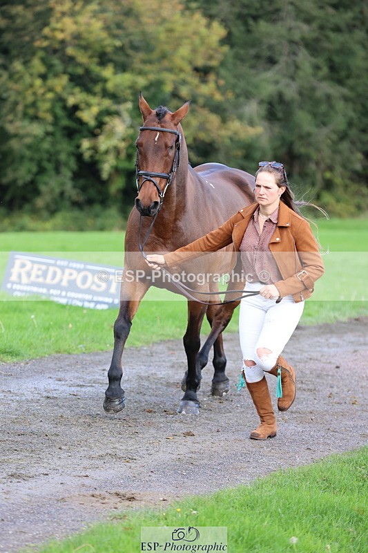 251026A-103205-23075 - E-384-Holly.Horton