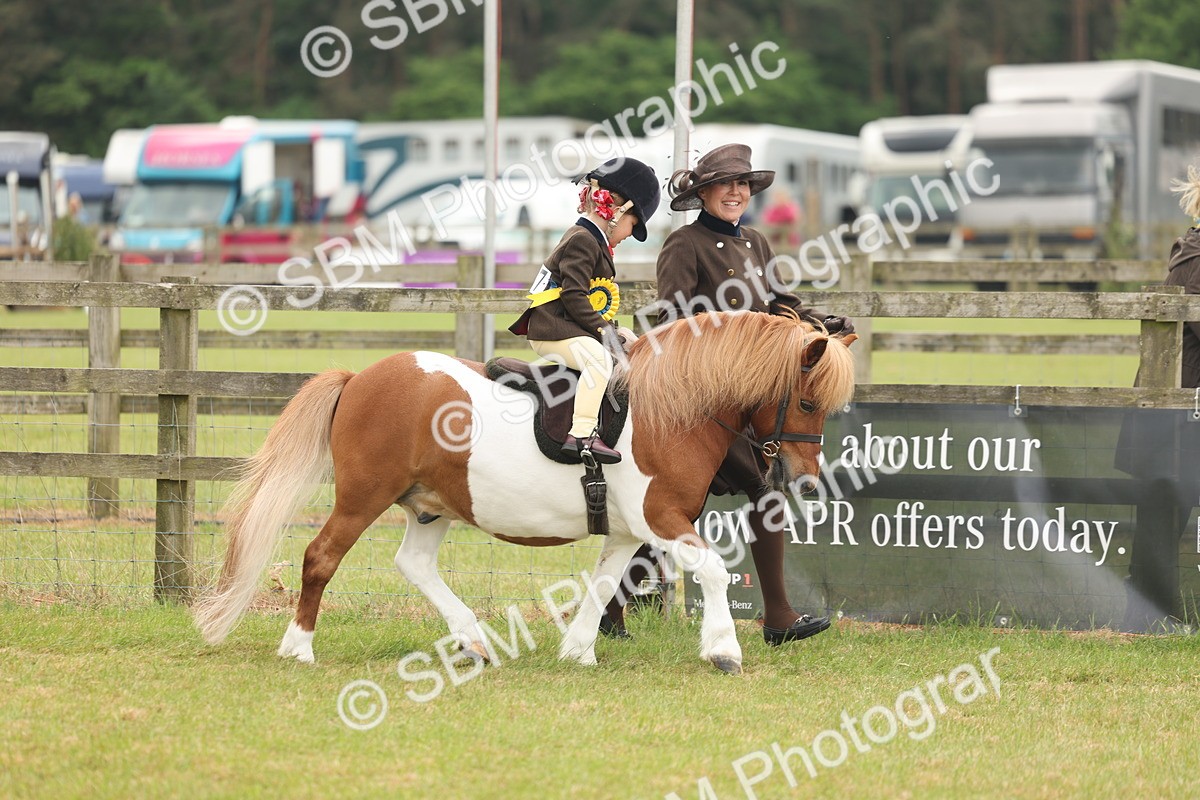 SBM_06847 - Class 74-75 - M&M Lead Rein and First Ridden Pony