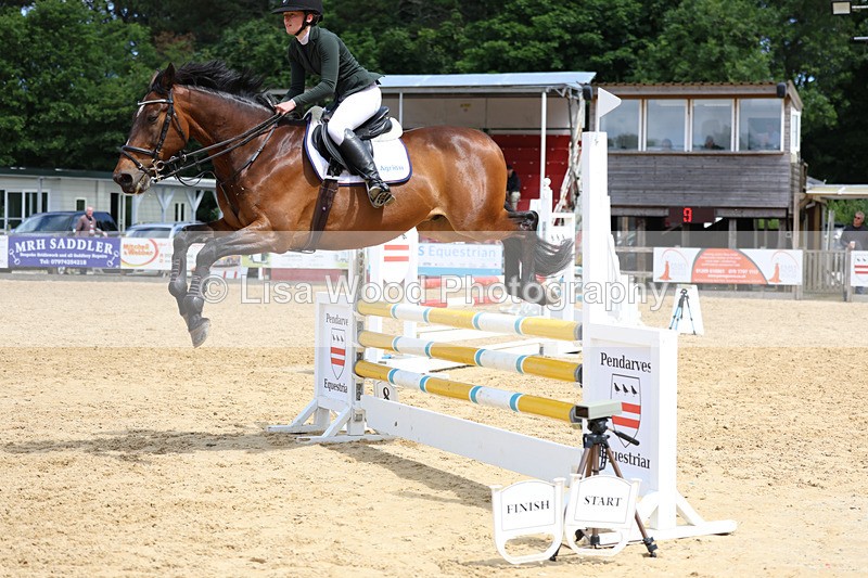 3E7A3280 - Class 4: Senior British Novice/90cm open