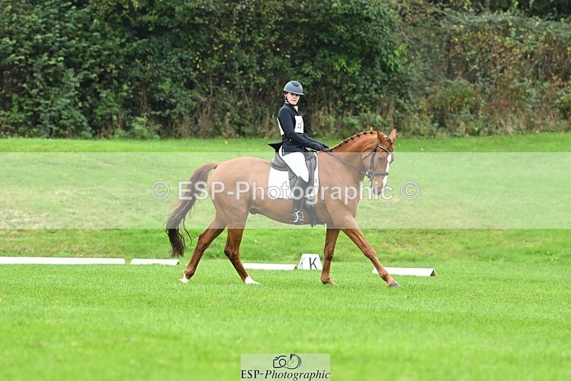 241024-121937-03374 - 512-Elisha.O'Brien-HIGHLIGHT.ROLLER