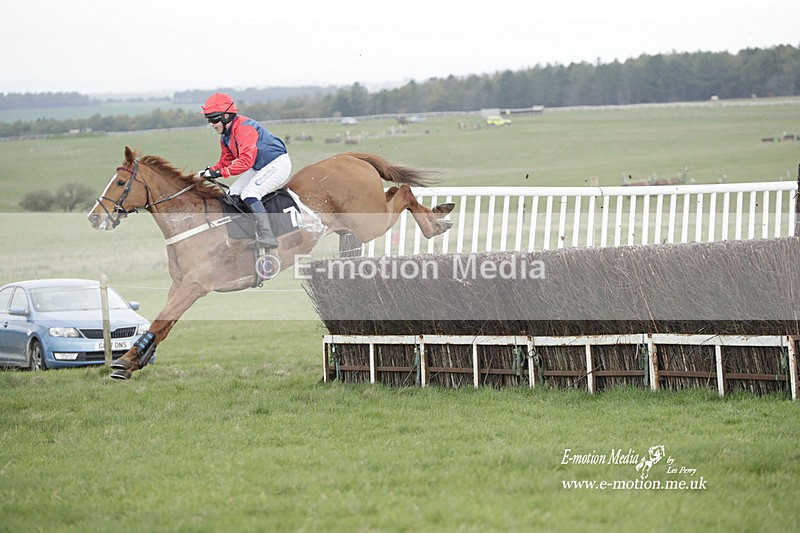 PtP 260323 0585 - New Forest Hounds Point-to-Point Larkhill 26/03/23
