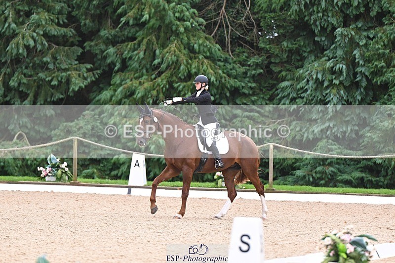 240809-121918-00739 - 185-Daisy.Hedges-Felicia.v