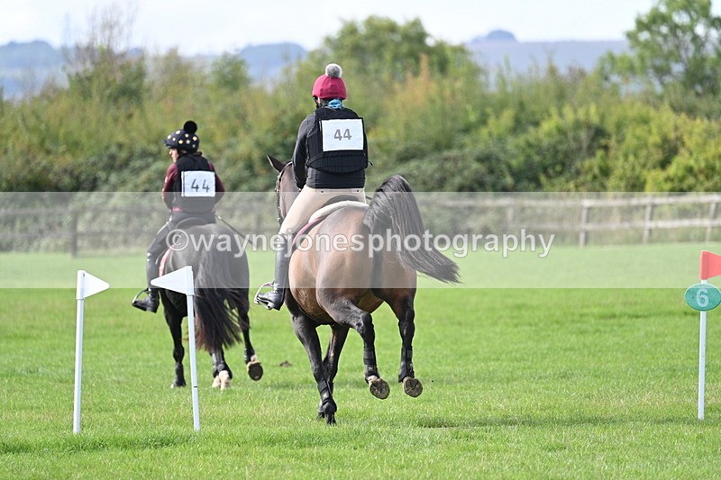 WJ7_8292 - 60cm Pairs