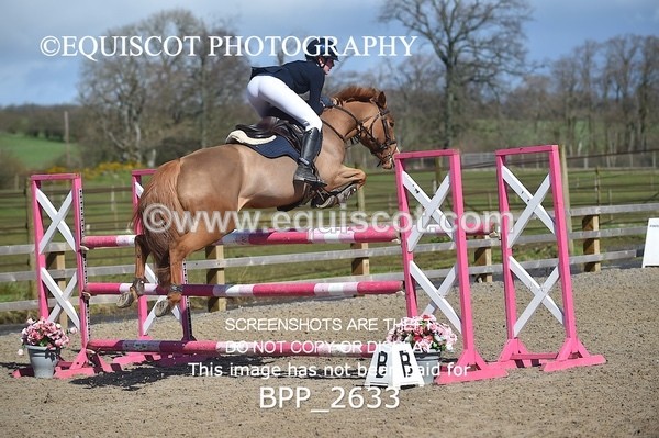 BPP_2633 - CLASS 28 48cm Pony Royal Highland Show Championship Qualifier
