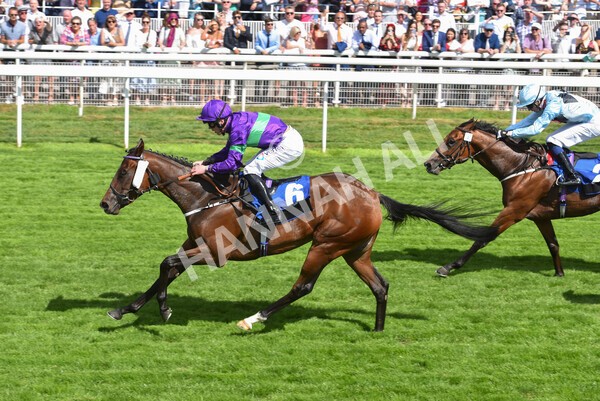 yr09072022r4-38 - Race 4 3.30pm John Smith's Nursery Stakes