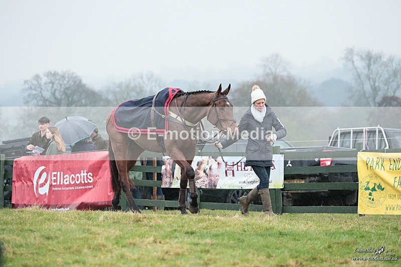PtP 100324 471 - Pytchley with Woodland Point-to-Point Guilsborough 10/03/24