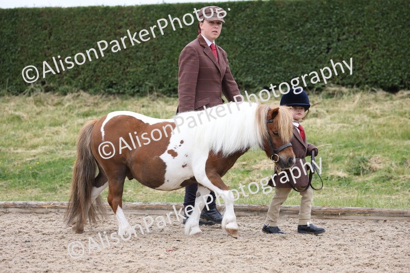 20250524-0417 - Class 5 - Minitures and Sheltands