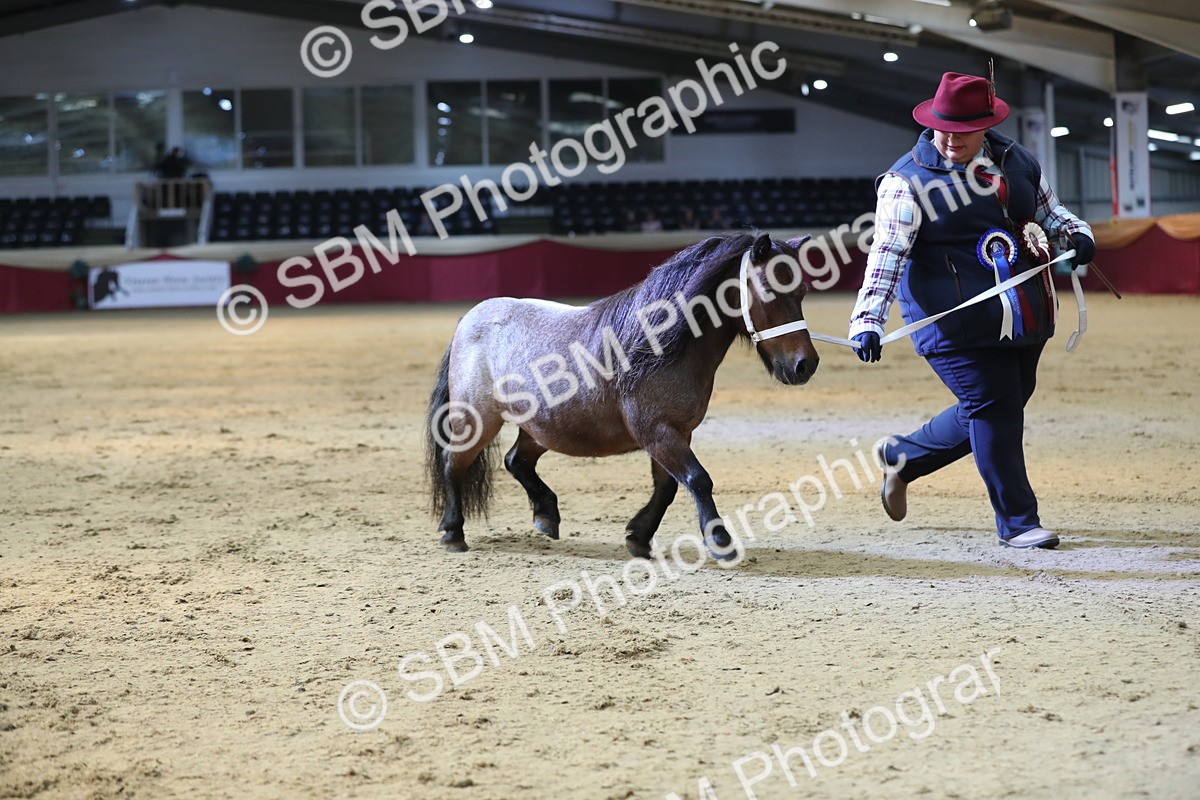 SBM_01406 - Class 3a Area IH Pre Vet