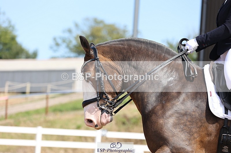 240816A-122038-04402 - 147-Abby.Hayes-Rathnagrew.Pride