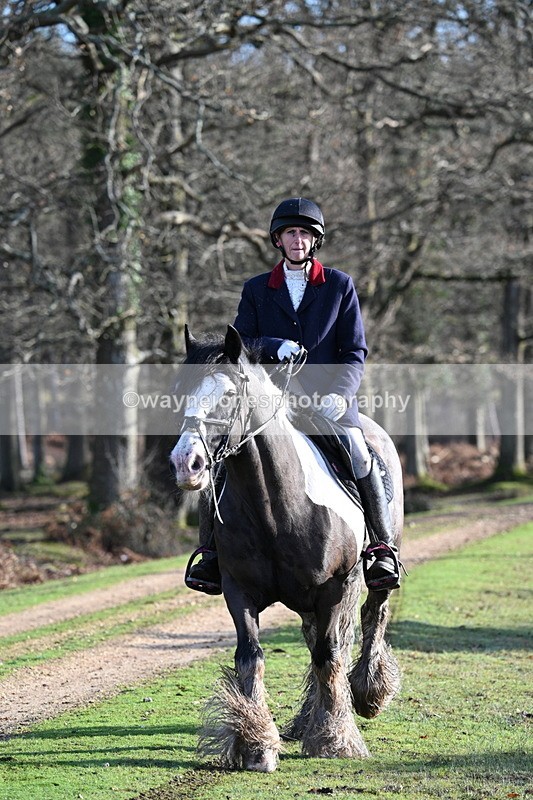 WJ7_7822 - Line 3 (no line 4 or 5)