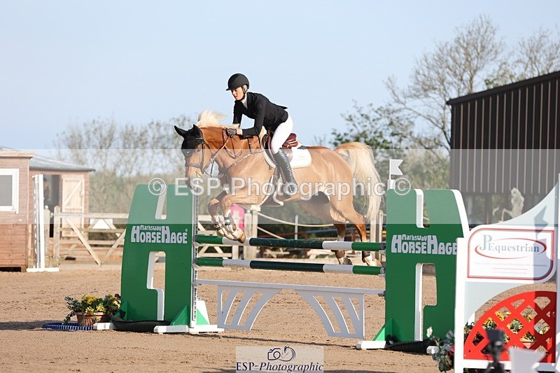 250427-083103-14503 - Cls 28 Young Horse 5yr old