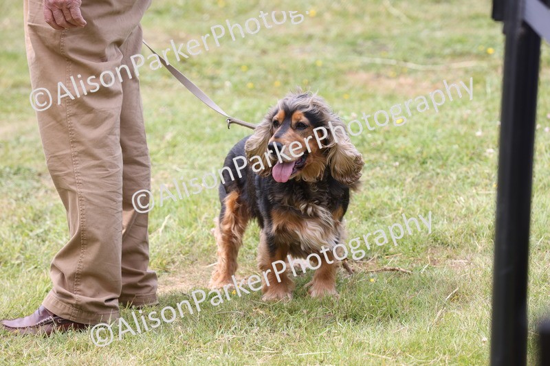 20250607-0050 - Misc