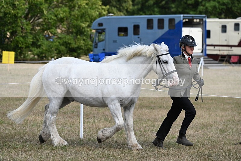 WJ6_6495 - Class 20 In-hand Cob