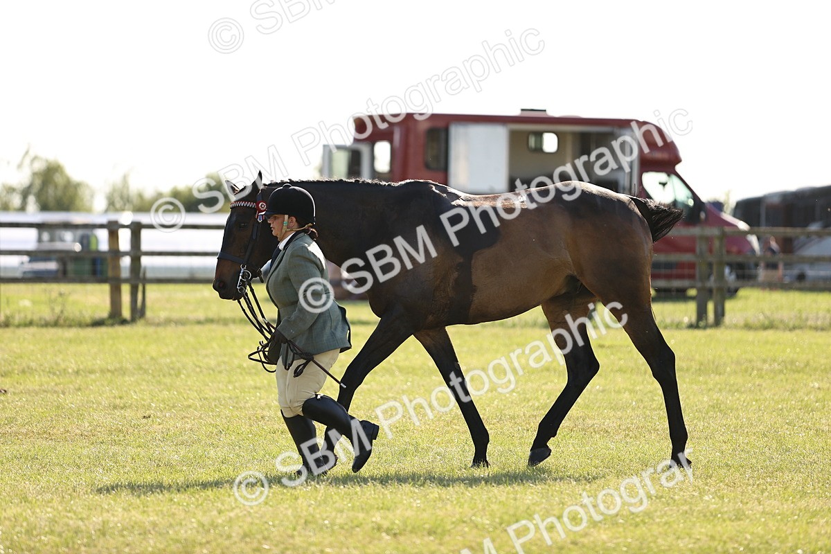 SBM_19760 - Class 87-88 - RIHS BSHA Riding Horses