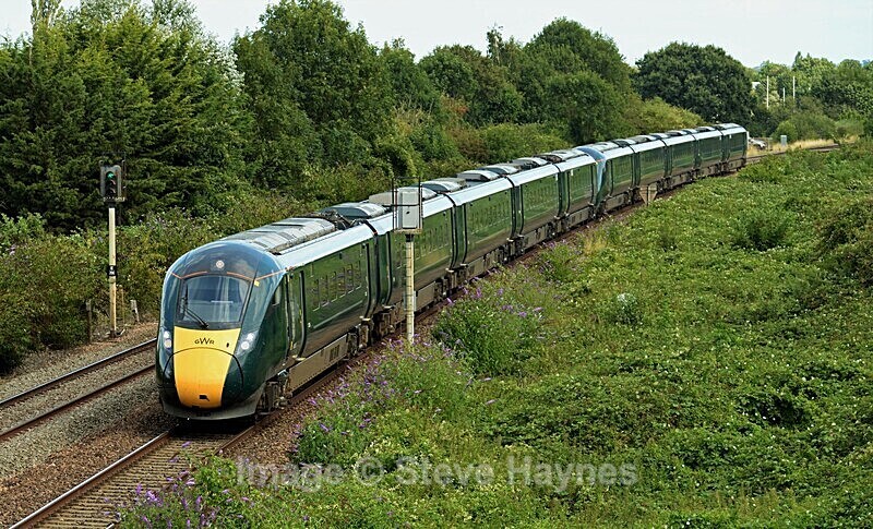 15th Aug 2019 - Taunton, Somerset