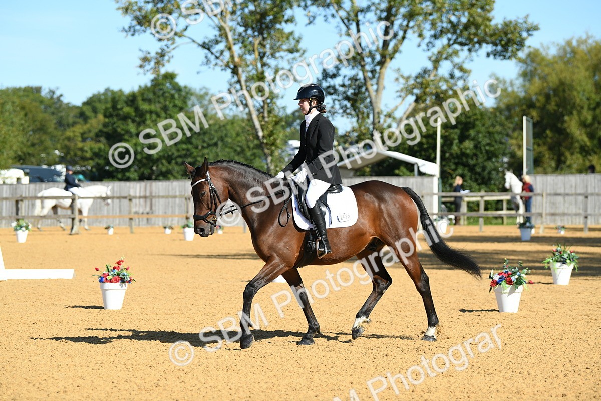 SBM_17993 - D4 - Small Tour Championship - Intro B