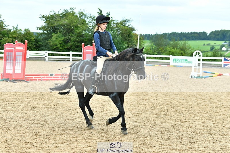 230804A-115023-02386 - Showjumping Competition