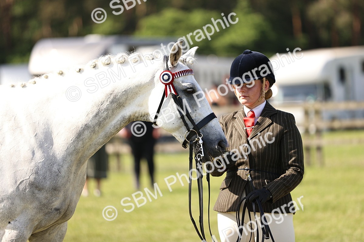 SBM_12941 - Class 75-76 LIHS BSHA Rising Star Hack Riding Horse