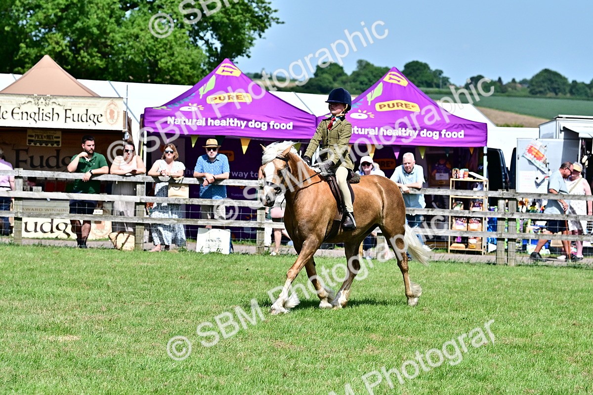 SBM_08022 - Class 61-62 - TSR  M&M Ridden Amateur of the Year