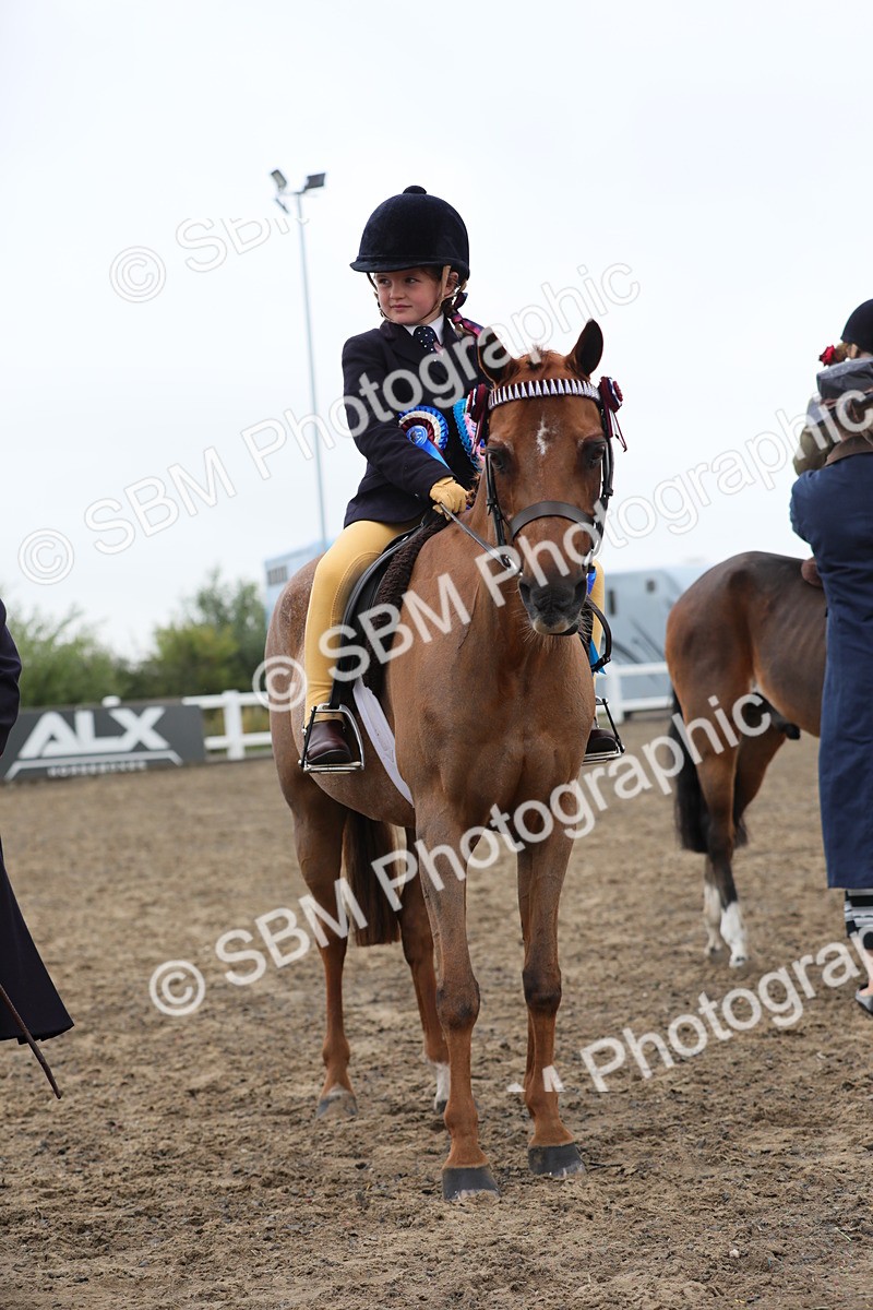 SBM_21884 - Class 806 - Young ridder 10 Yr & Under